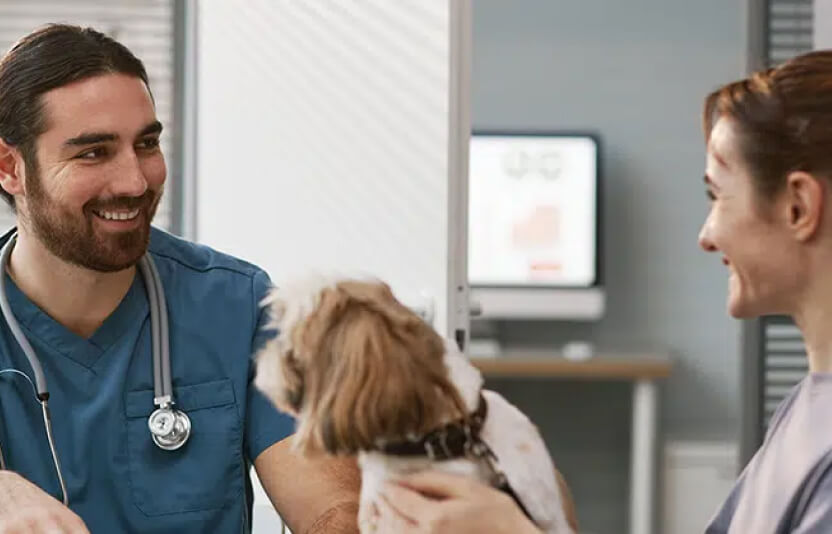 Диалоговая сцена: владелец задаёт вопрос, ветеринар спокойно объясняет